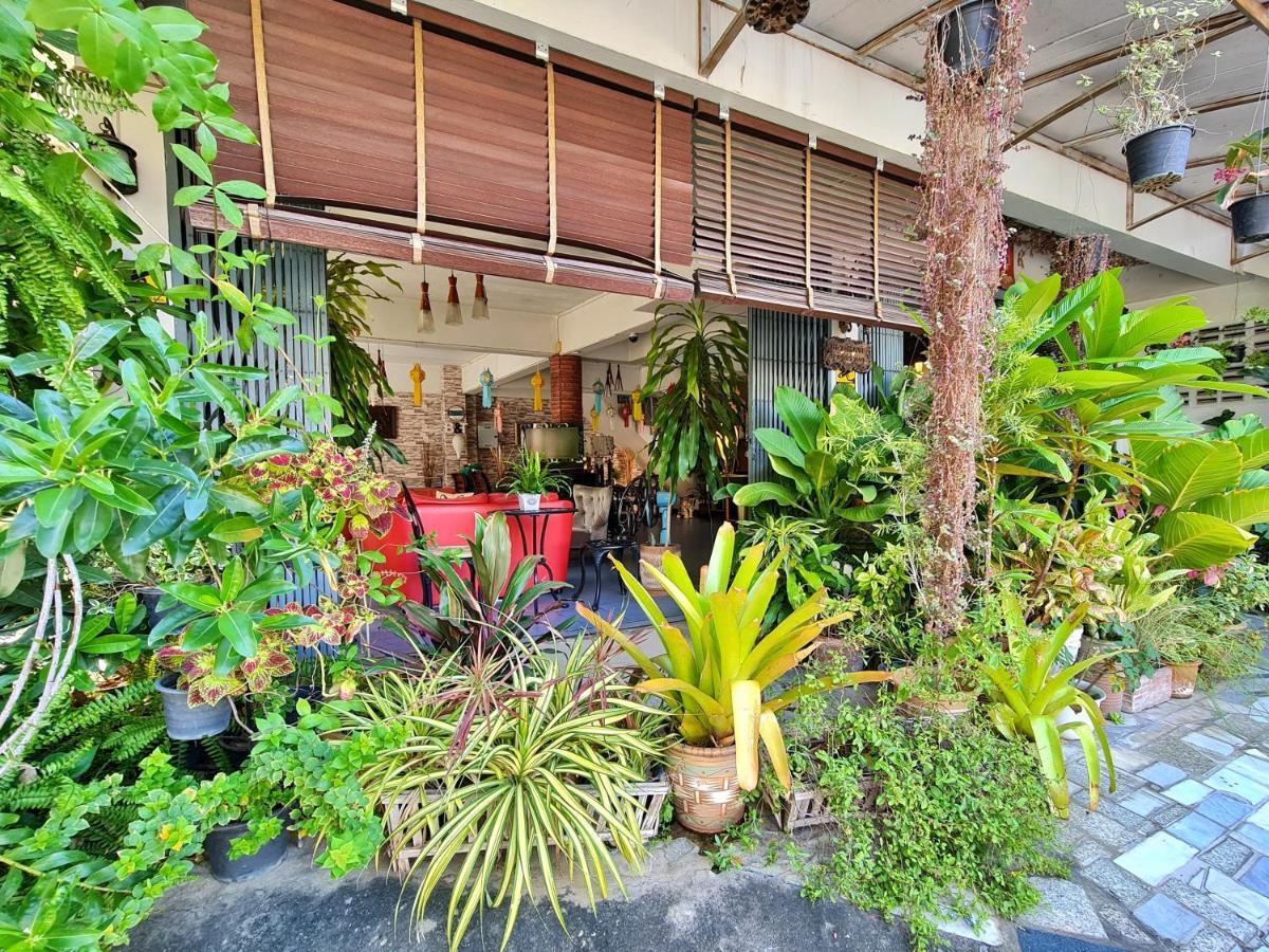 Bed And Terrace Guesthouse Chiang Mai Dış mekan fotoğraf