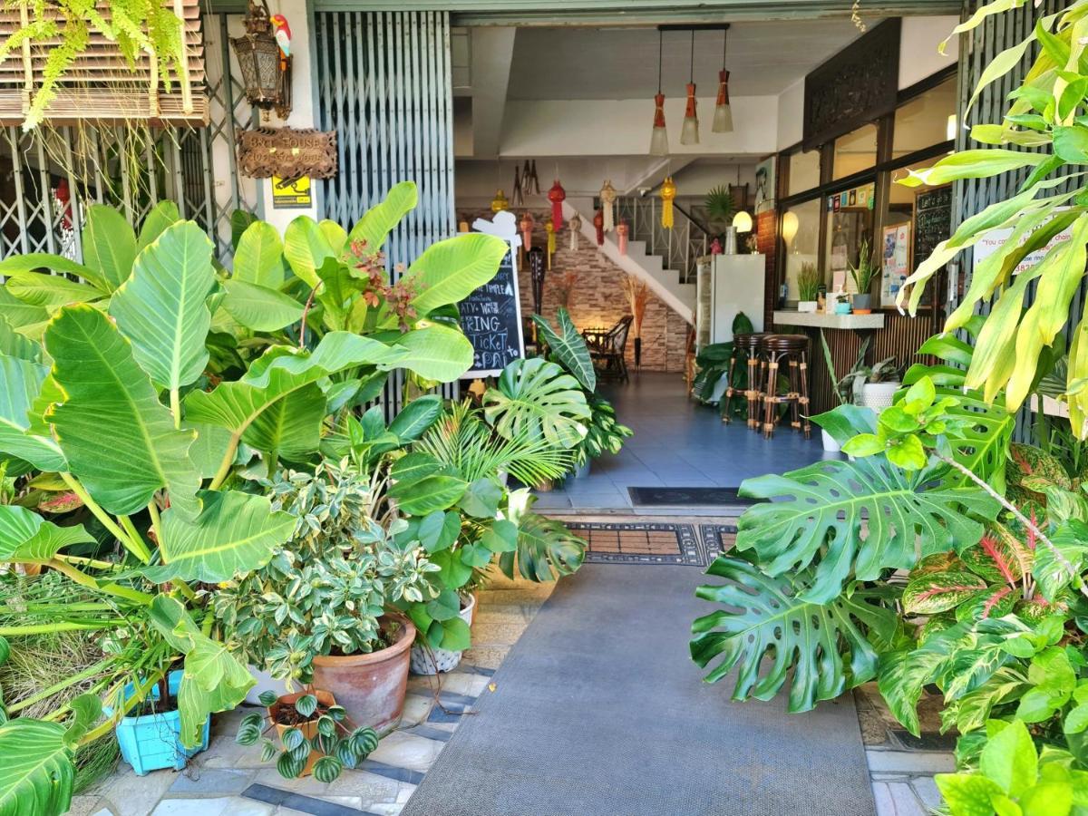 Bed And Terrace Guesthouse Chiang Mai Dış mekan fotoğraf